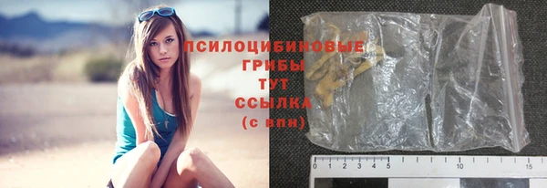 2c-b Алзамай
