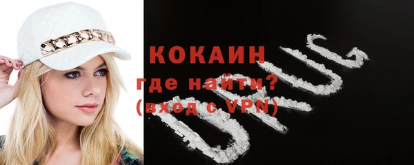 индика Осташков