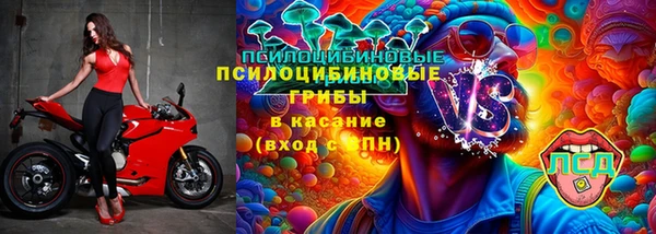 2c-b Алзамай